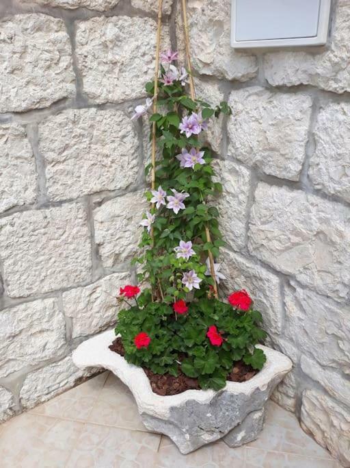 Villa Sweet Home Mokošica Екстериор снимка