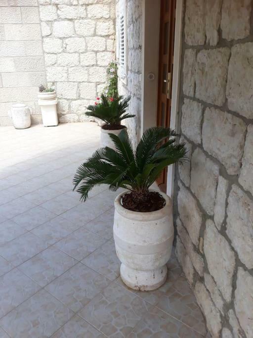 Villa Sweet Home Mokošica Екстериор снимка