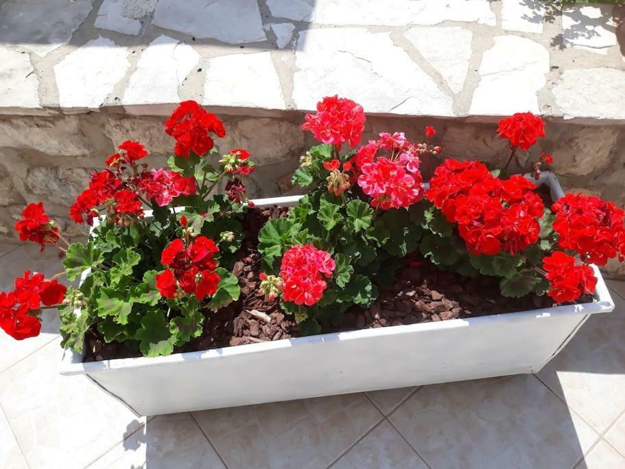 Villa Sweet Home Mokošica Екстериор снимка